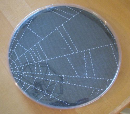 Spider Web Lid