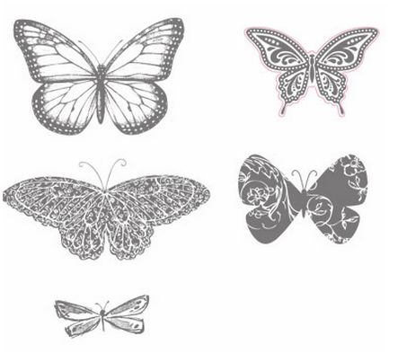 SU Best of Butterflies 25 years