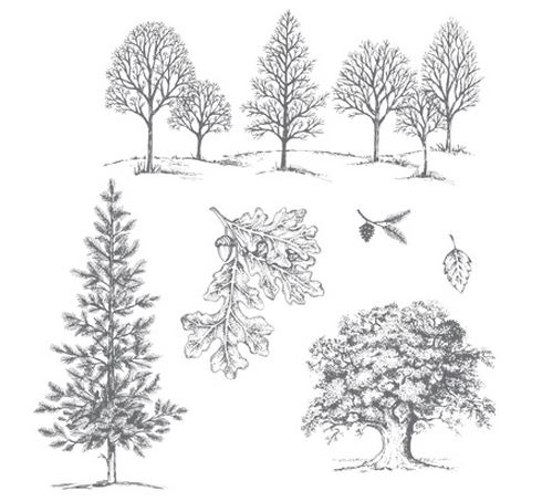 Lovely As a Tree Stamp Set