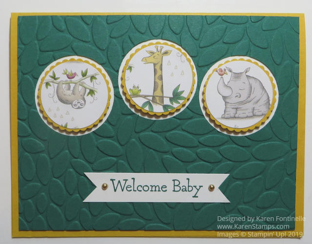 Animal Expedition Circles Baby Card