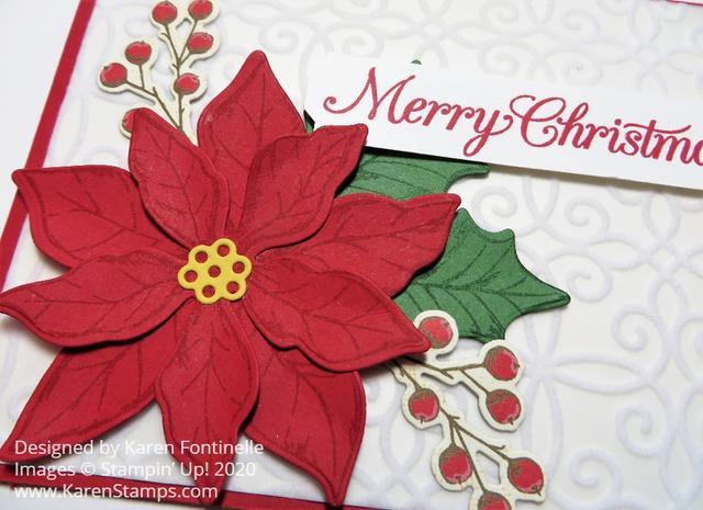Poinsettia Petals Merry Christmas Card Closeup