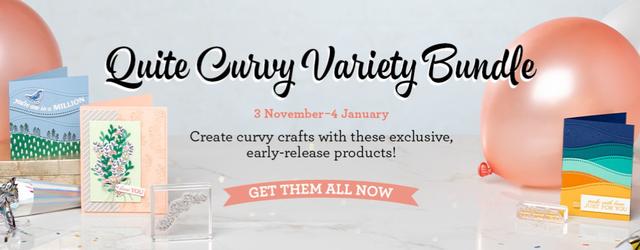 Quite Curvy Variety Bundle Banner