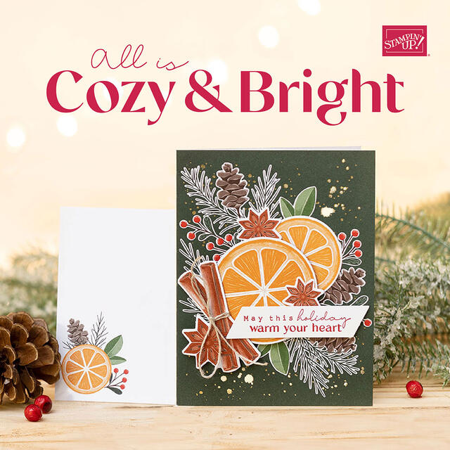 Cozy & Bright Kit square ad