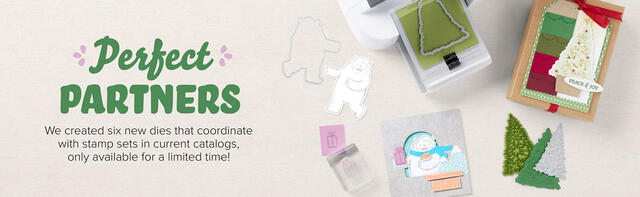 Perfect Partners Banner