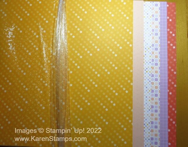 Spring Mini 2023 Preorder Dandy Designs DSP Saleabration