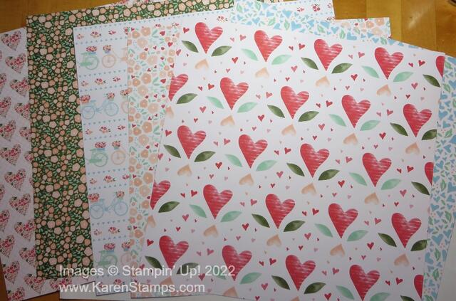 Spring Mini Preorder 2023 Country Floral Lane DSP