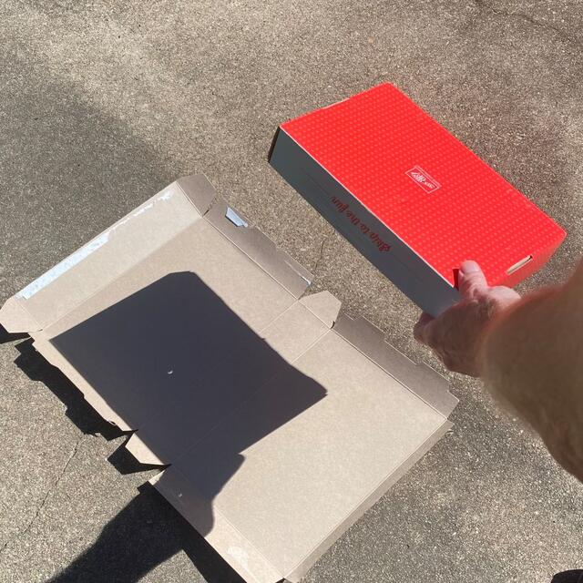 Eclipse 2023 Paper Pumpkin Box