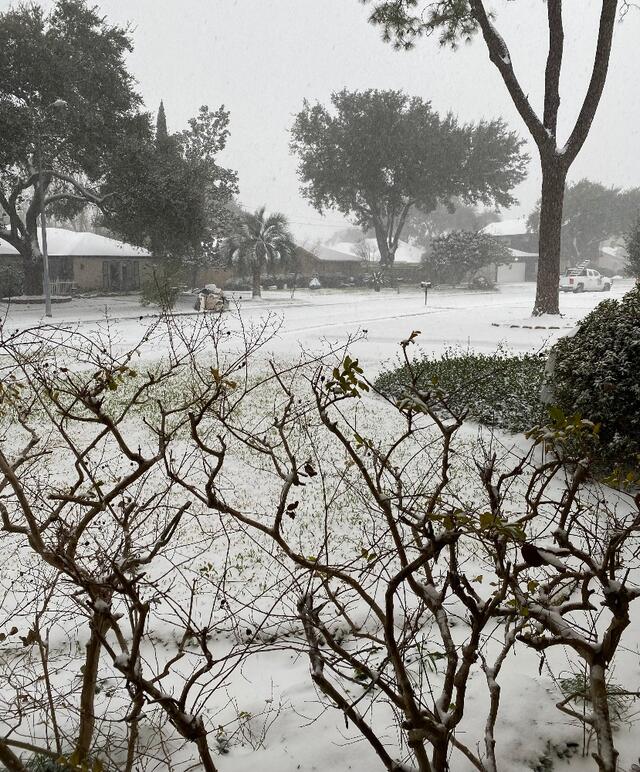 Snow Down the Street