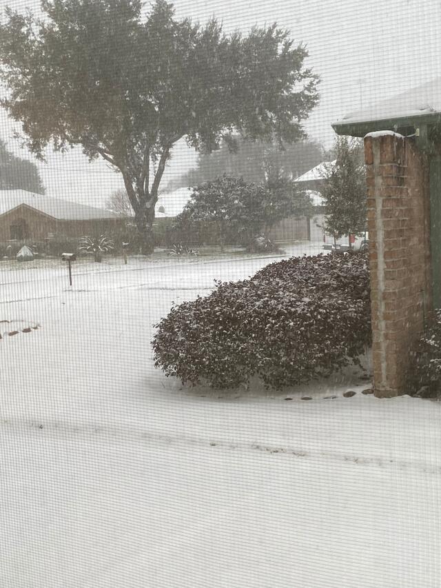 Street Out Kitchen Window