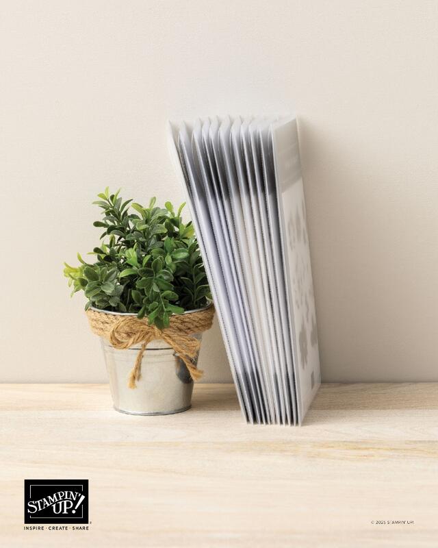 New Packaging Envelopes Standing