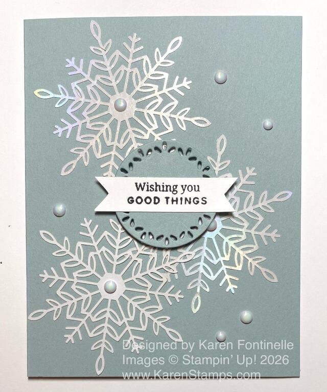 Wonderful Snowflakes Winter Storm 2026