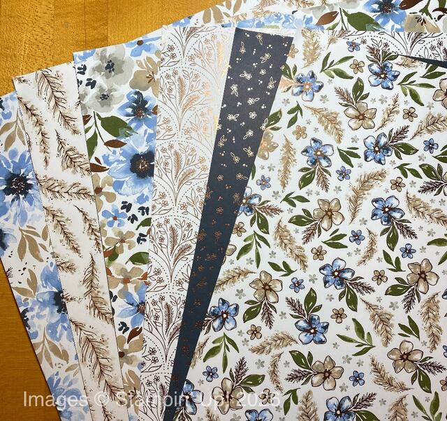 Delicate Dreams Designer Paper March 2026