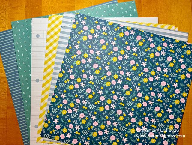 Everyday Essentials May 2026 Other side DSP