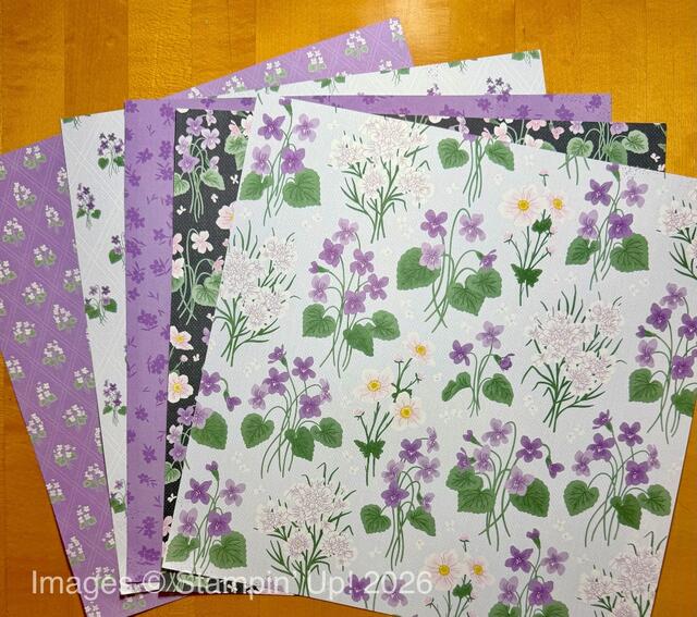 Violet Dreams Specialty Designer Series Paper
