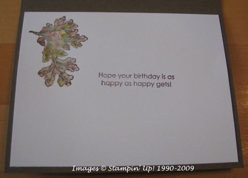 LovelyTreeFallBDBobinside