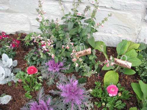 Houston Azalea Trail