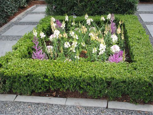 Houston Azalea Trail