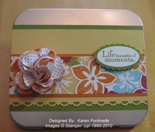 Island Oasis DSP Tin Album