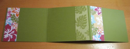 Island Oasis DSP Accordion Fold Album