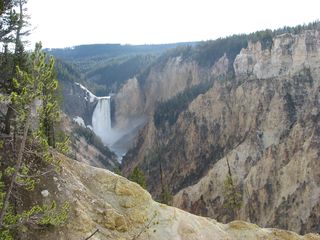 The Grand Canyon of Yellowstone