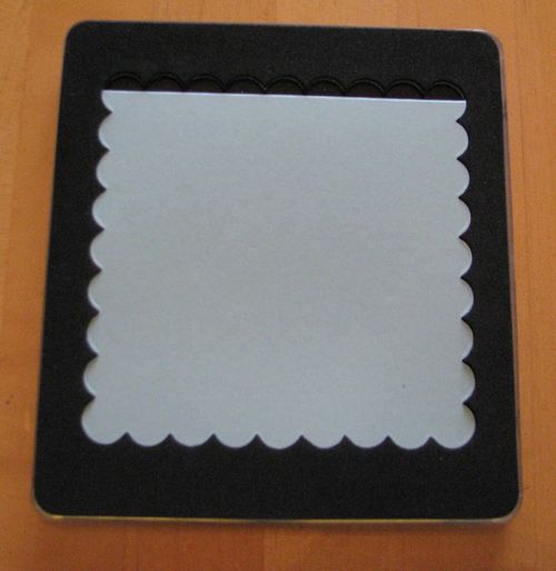 Scallop Square Cut in Die