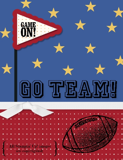 Houston Texans Playoff Game