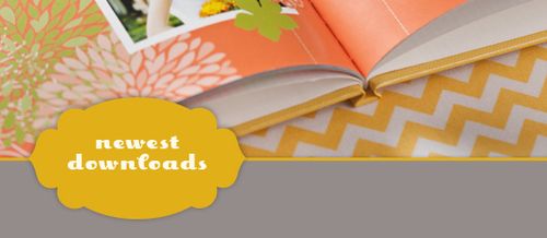 MDS Newest Downloads Banner