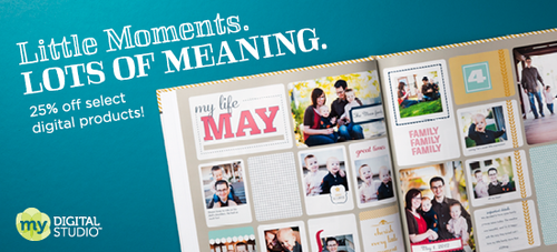 MDS Sale Banner 2013